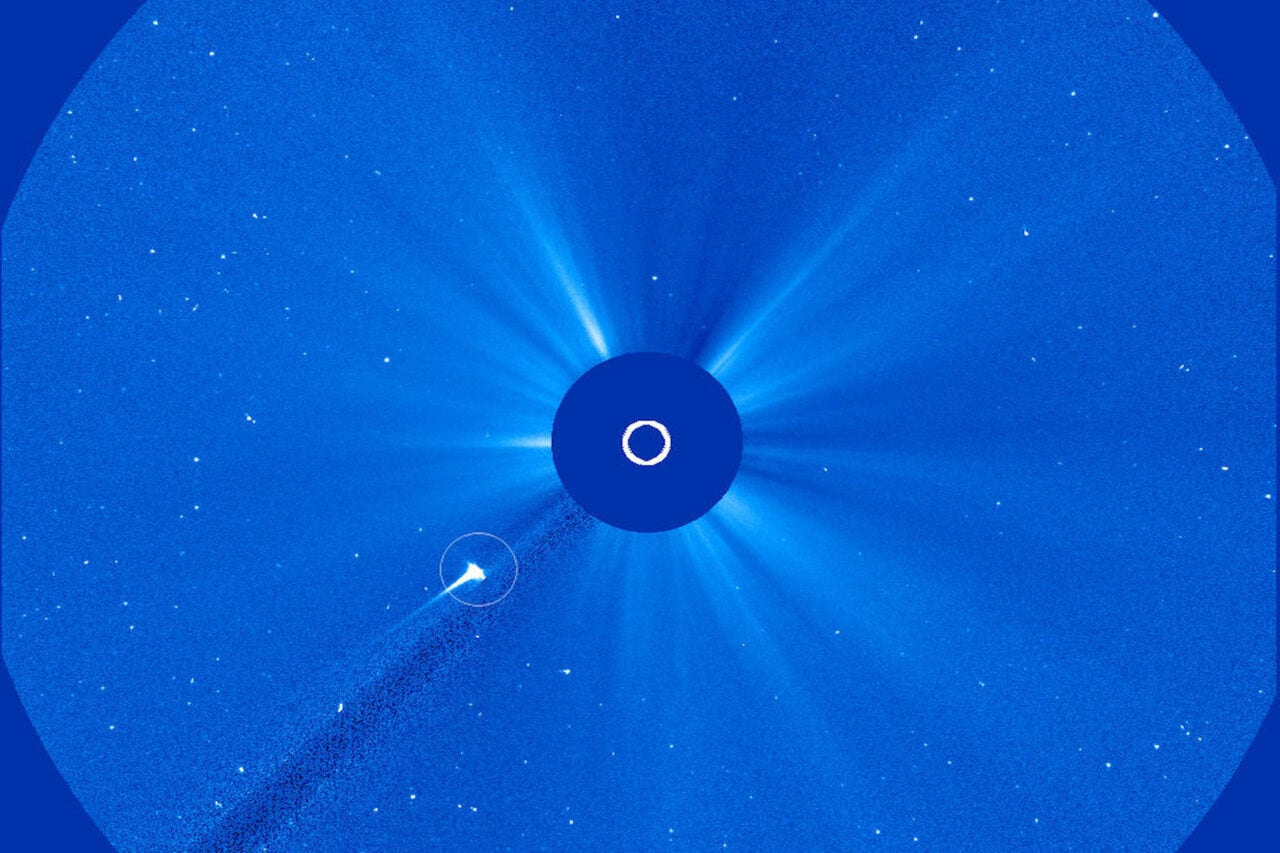 Watch a Comet Get Torn Apart by the Sun and Become a Headless Ghost