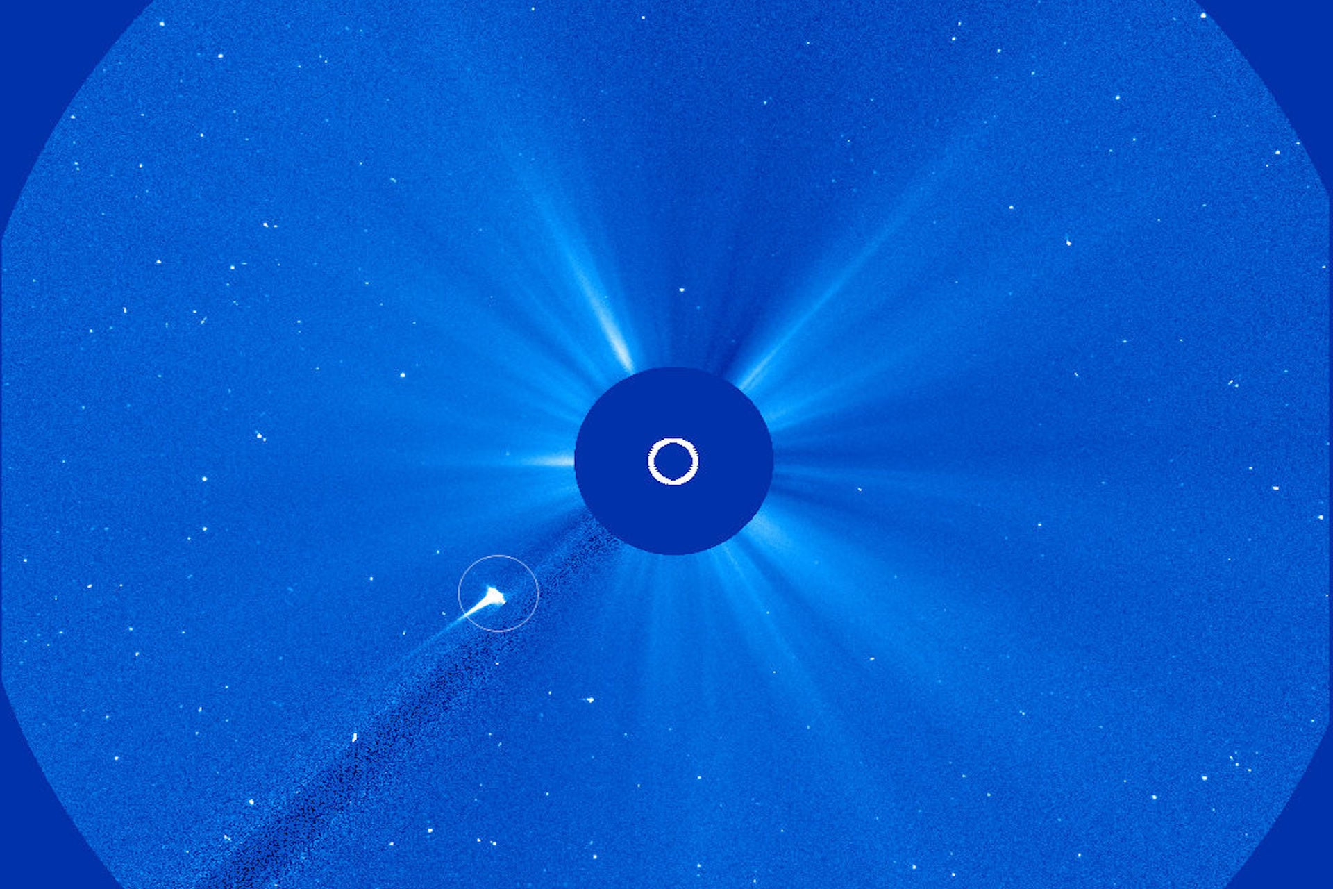 Comet MAPS flying through the Sun's atmosphere.