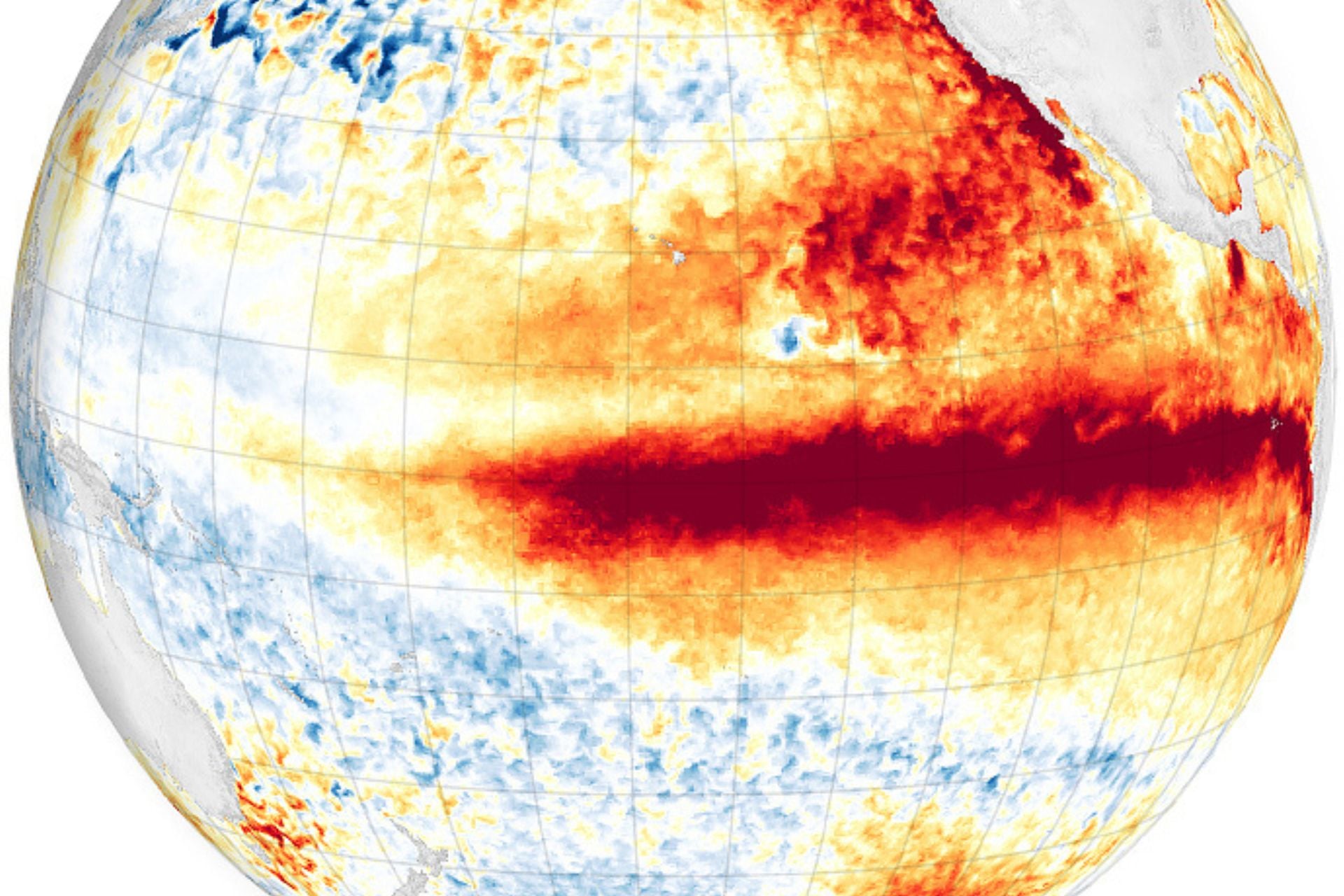 A map of Pacific sea surface temperatures during the 2015 El Niño. 