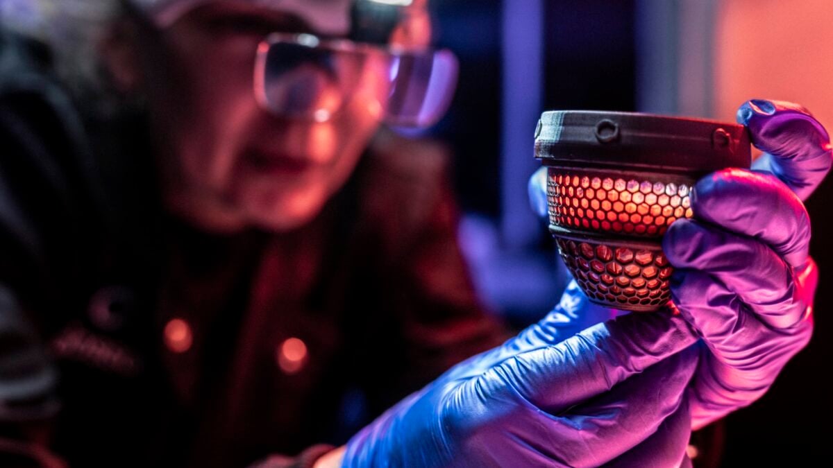 ‘De-Extinction’ Start-up Just Hatched Baby Chicks From a 3D-Printed Artificial Egg