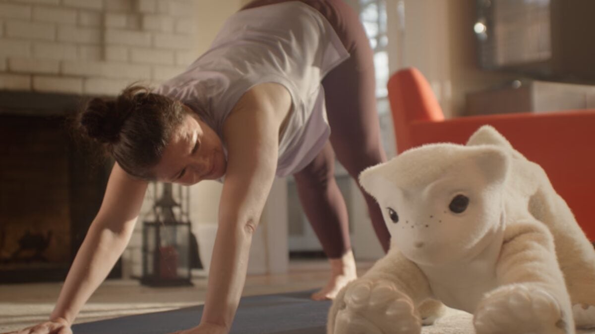 Roomba’s Creator Is Making an AI Robot Pet That Can’t Lie to You