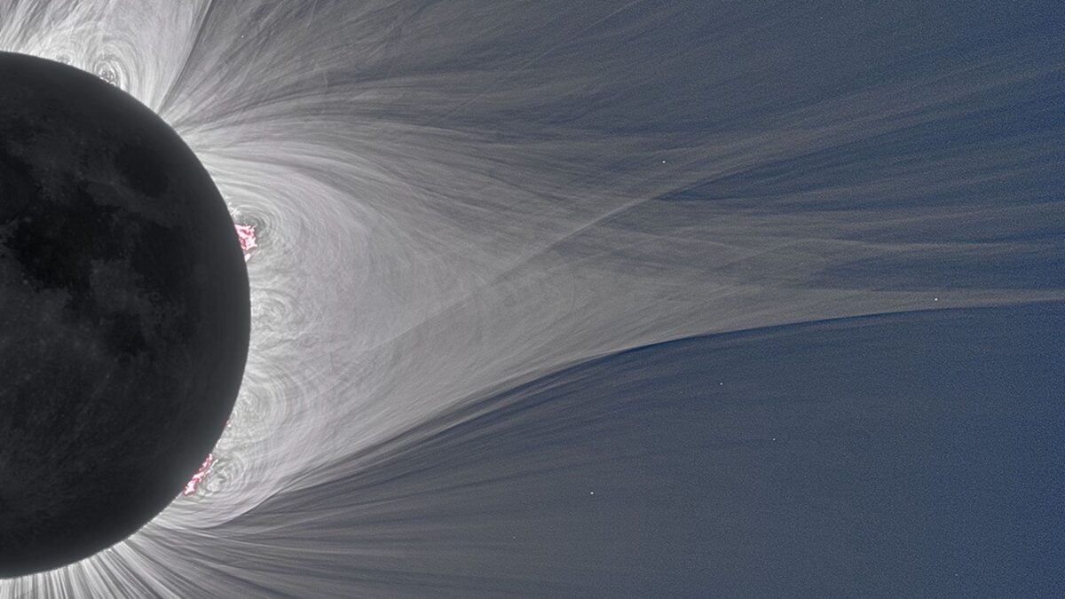 The Sun Blasted a Mysterious Radio Signal for 19 Straight Days. Here&rsquo;s What We Know