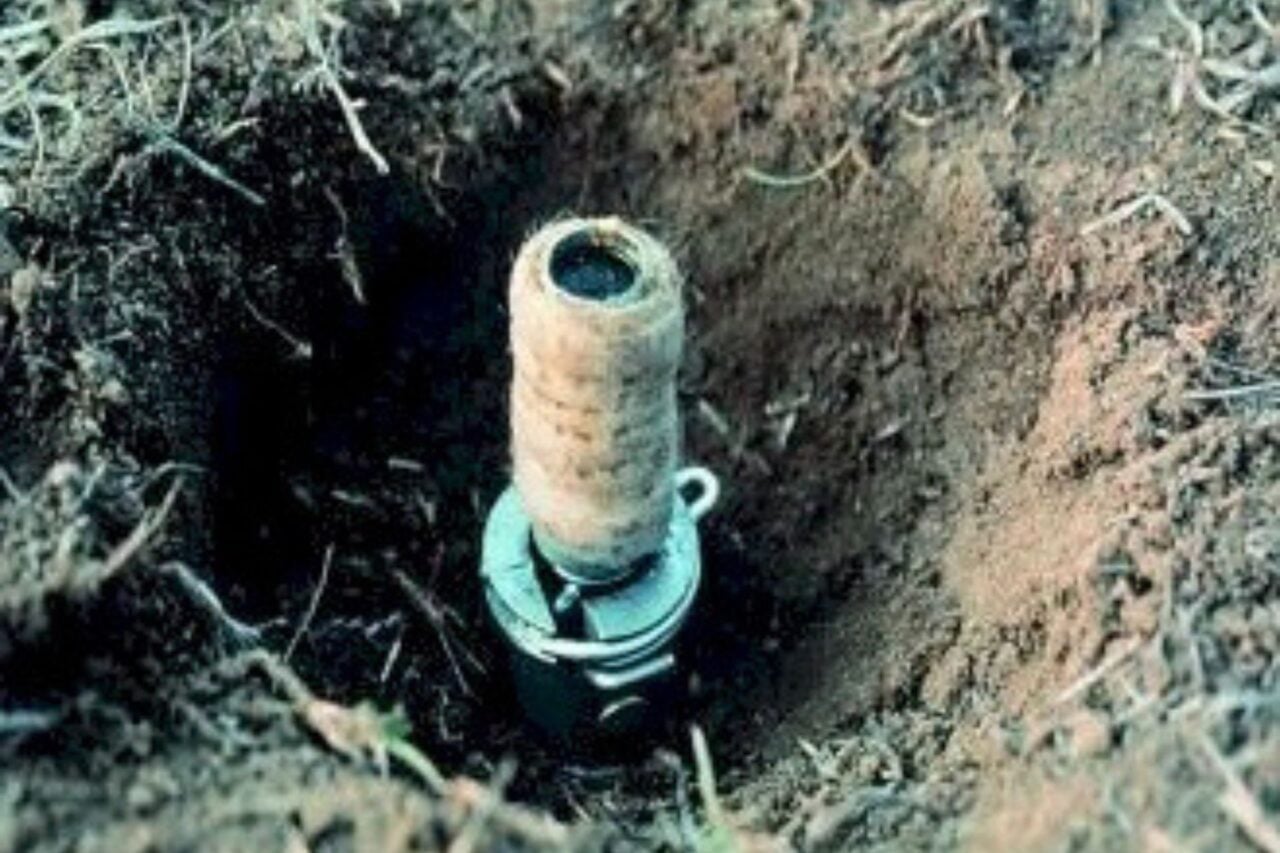 Trump Administration Quietly Green-lights Use of ‘Cyanide Bombs’ on Public Lands