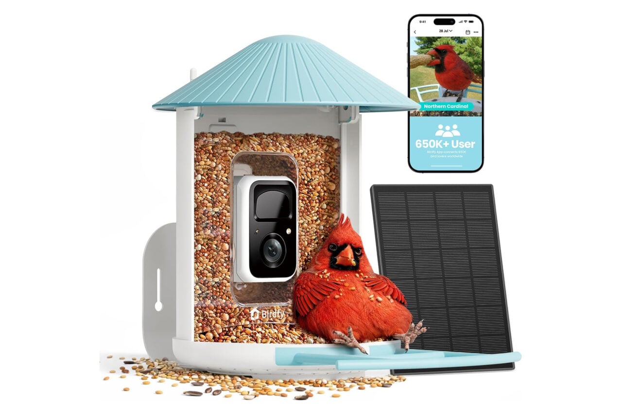 Netvuebirdfy