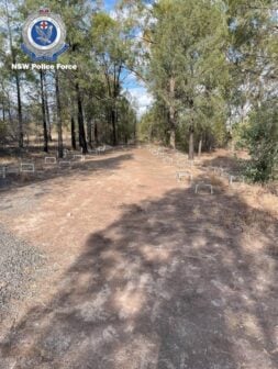 Nsw Police Missing Beehives Missing