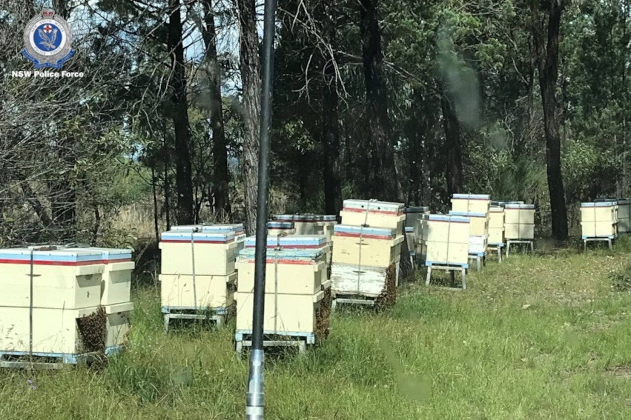 Nsw Police Stolen Beehives