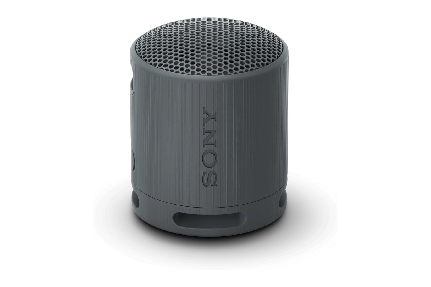 Sony Srs Xb100