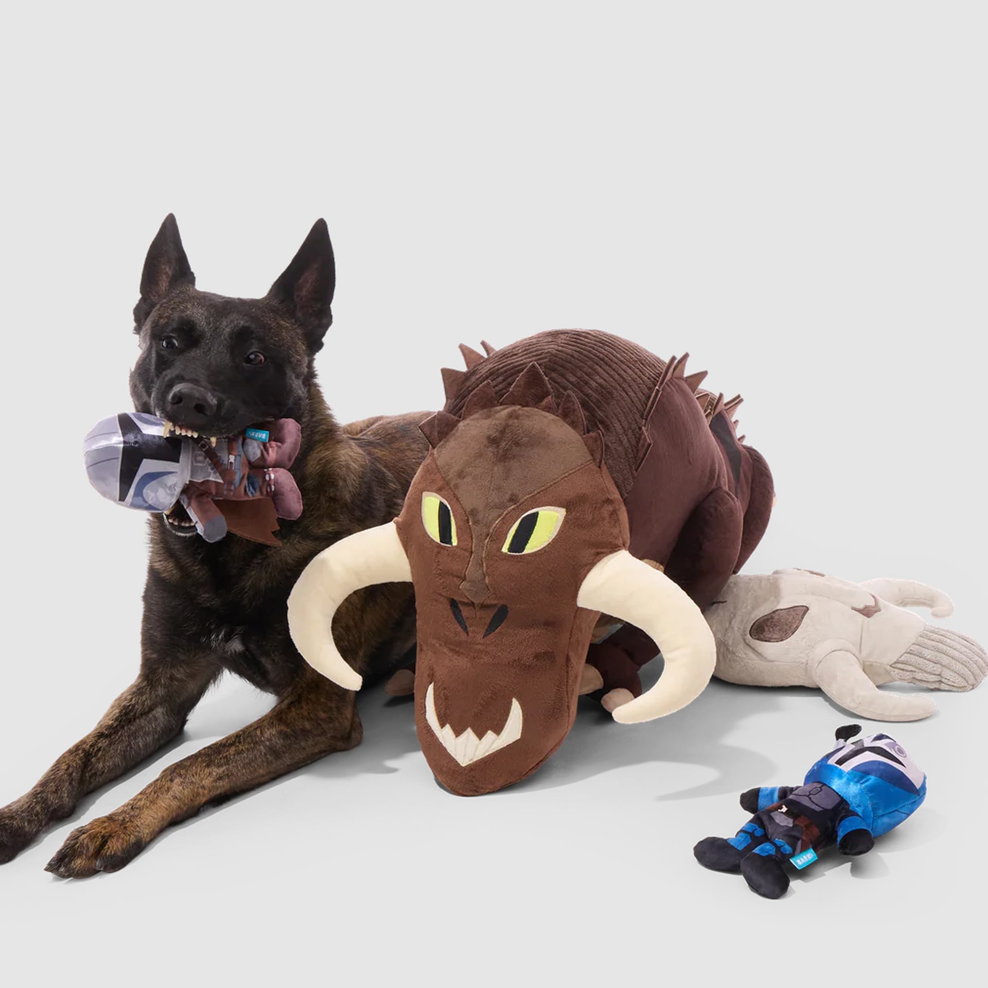 Mitosauro Barkbox