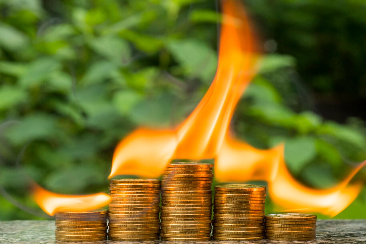 A Group Of Coins In Stacks In Flames Against The Background Of Green Plants In Defocus Close Up. Bank Cryptocurrency Deposits Saving Capital Financial Risks Blockchain Concept