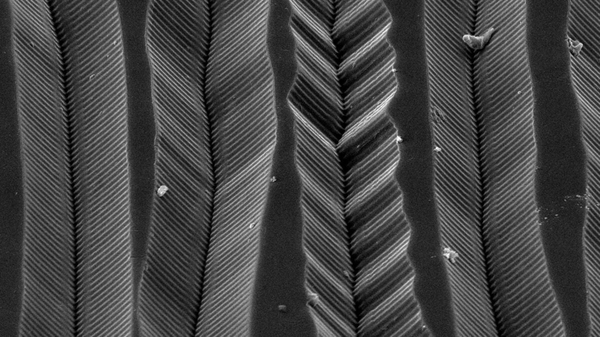 How Does Quadrophonic Vinyl Put Four Channels in One Groove? Look Through an Electron Microscope and See