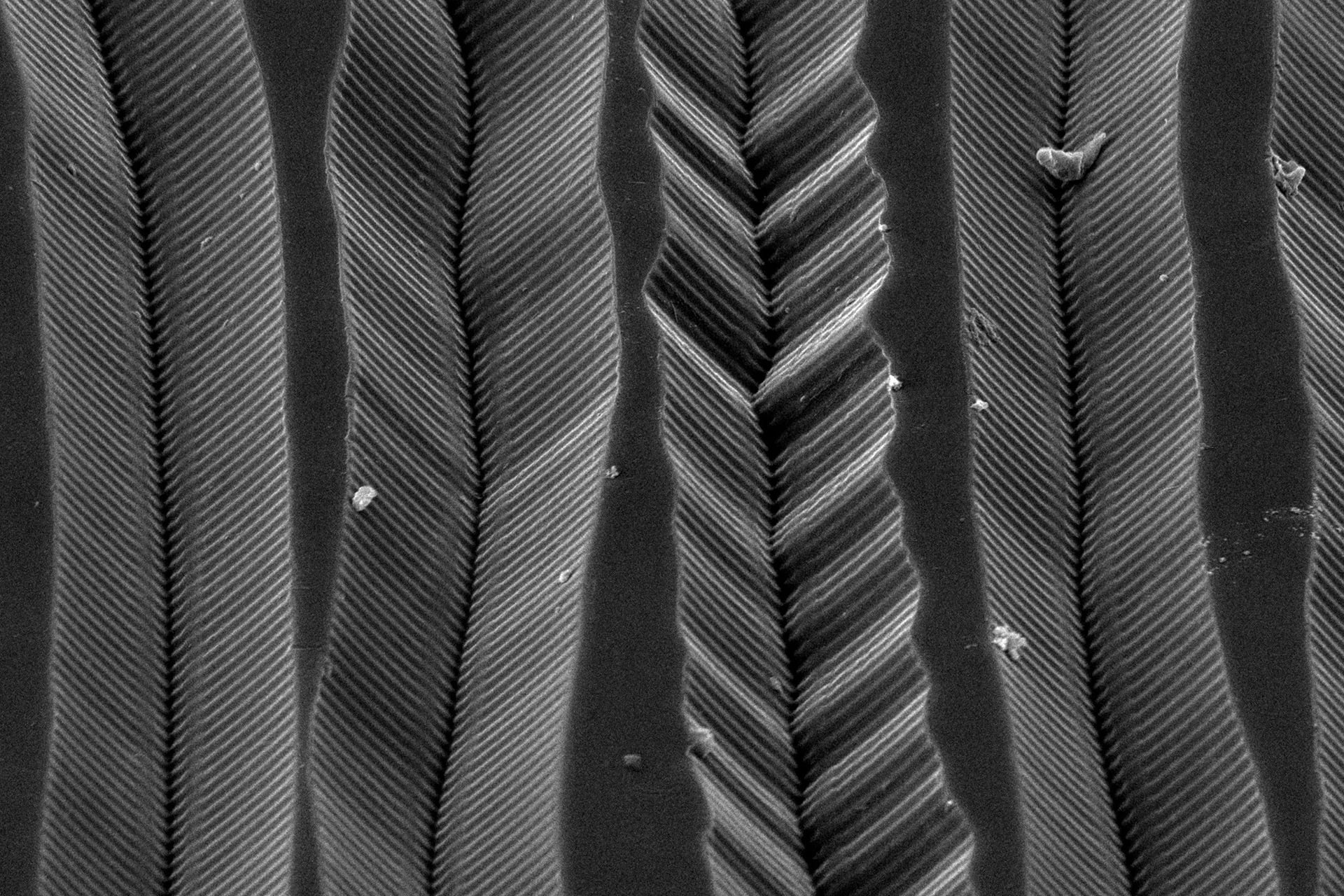 CD-4 quadraphonic vinyl under SEM