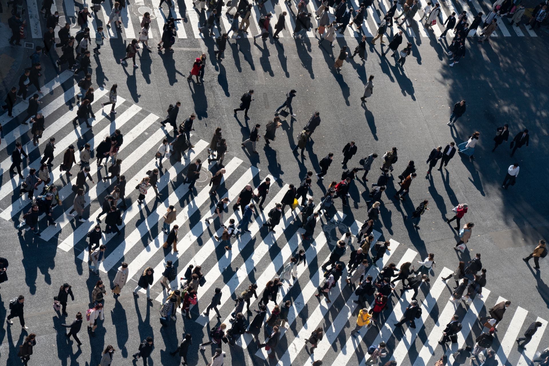 Pedestrians crossing a crosswalk in Shibuya, Japan.