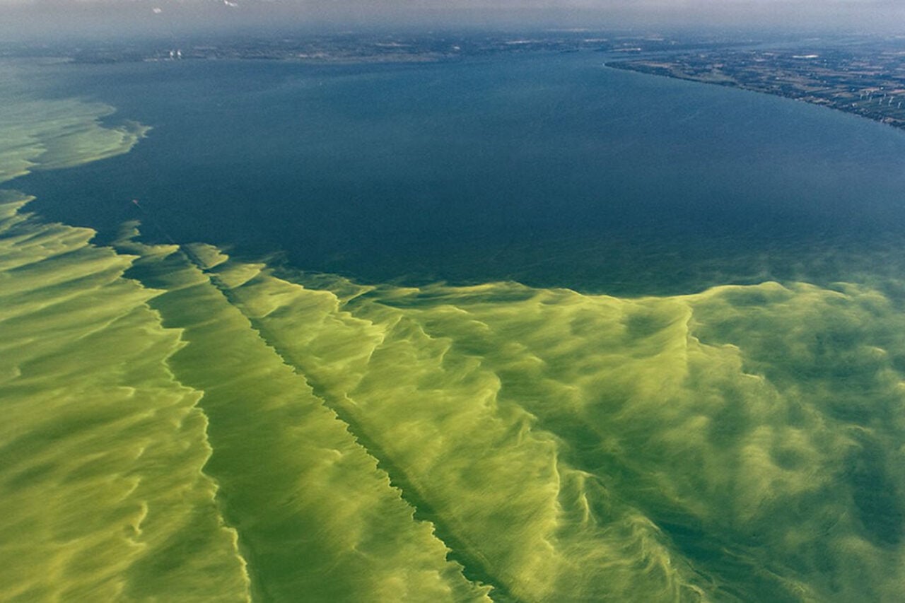 Cyanobacterial Blooms Lake Erie Noaa
