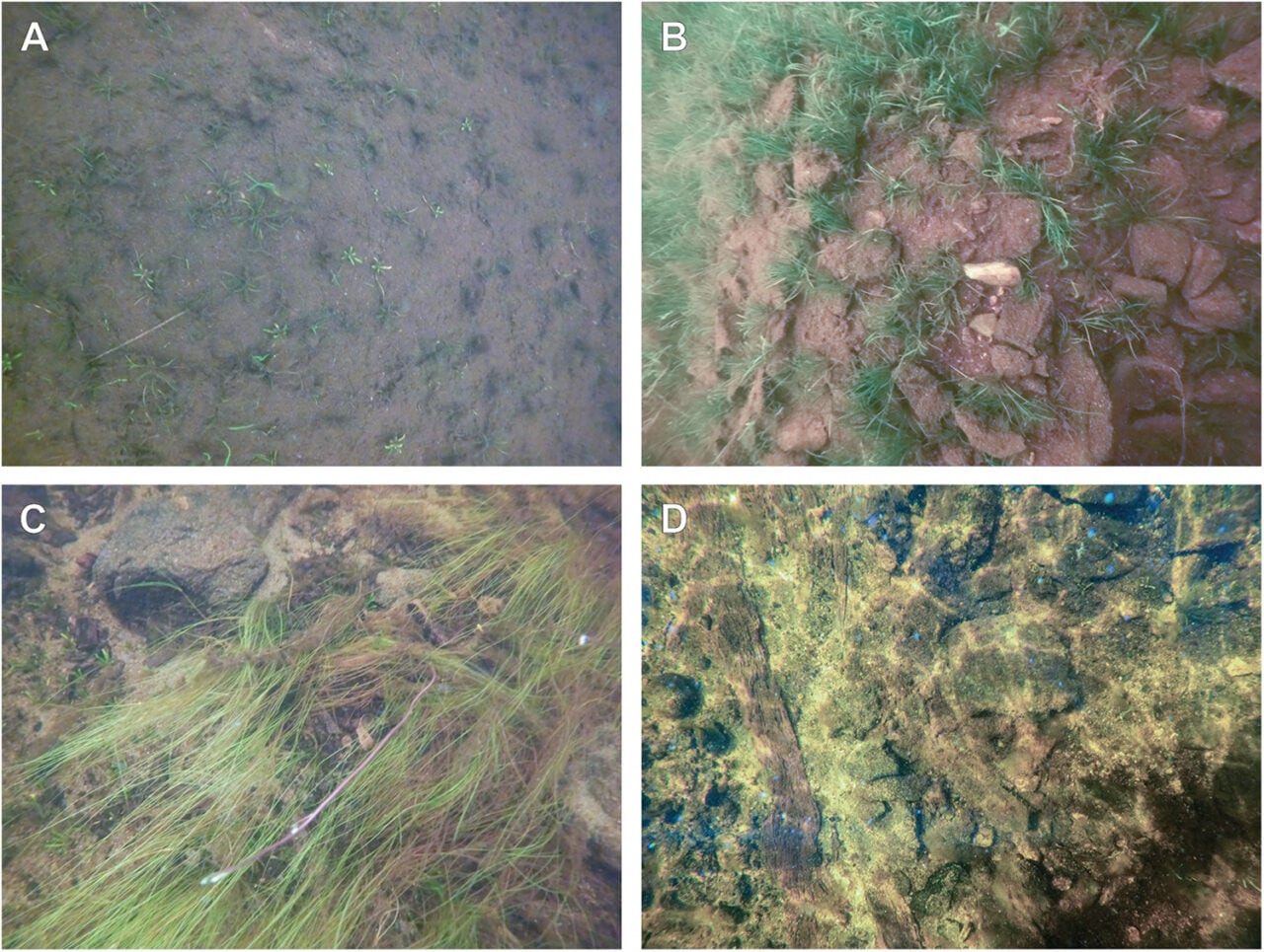 Examples Of Challenges Image Alignment Shallow Water
