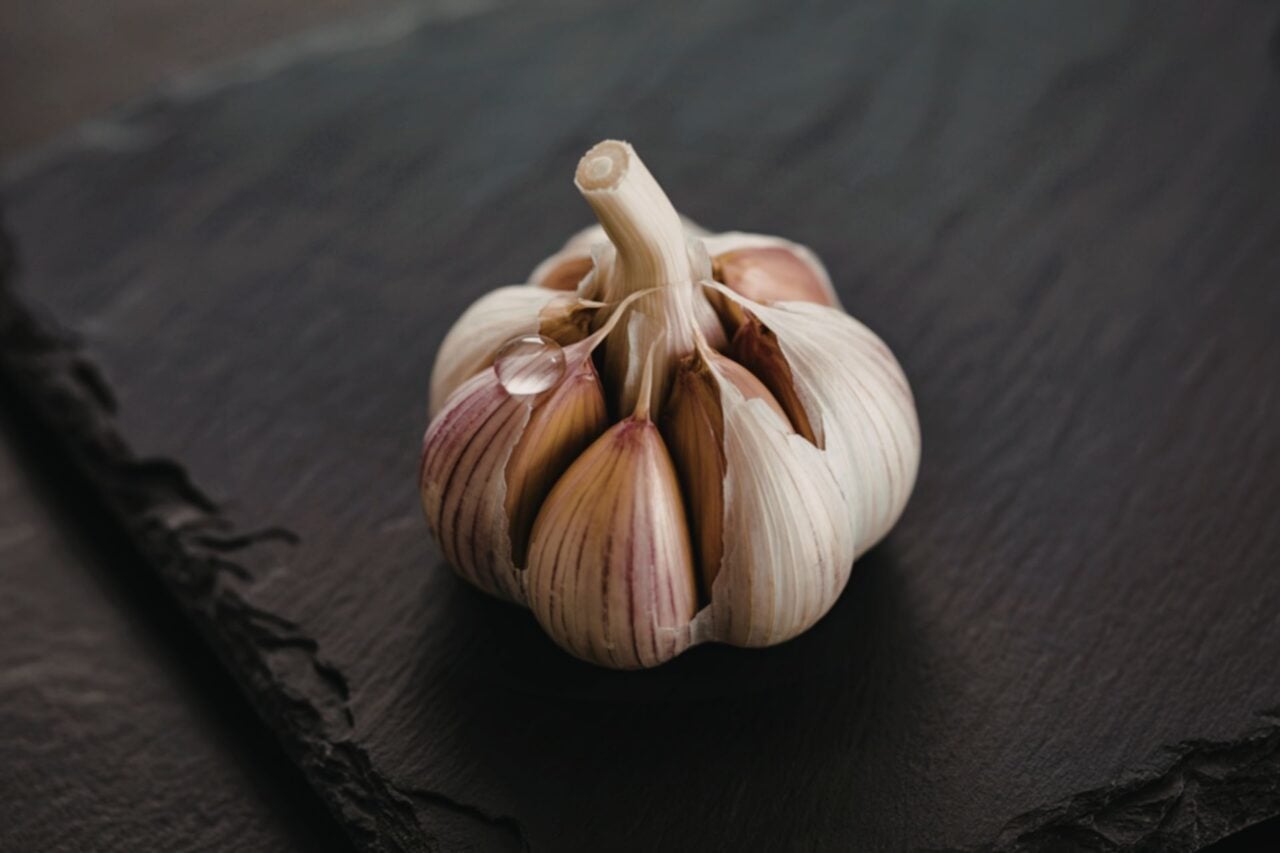 Garlic Is a Secret Weapon Against Mosquitoes, Study Finds