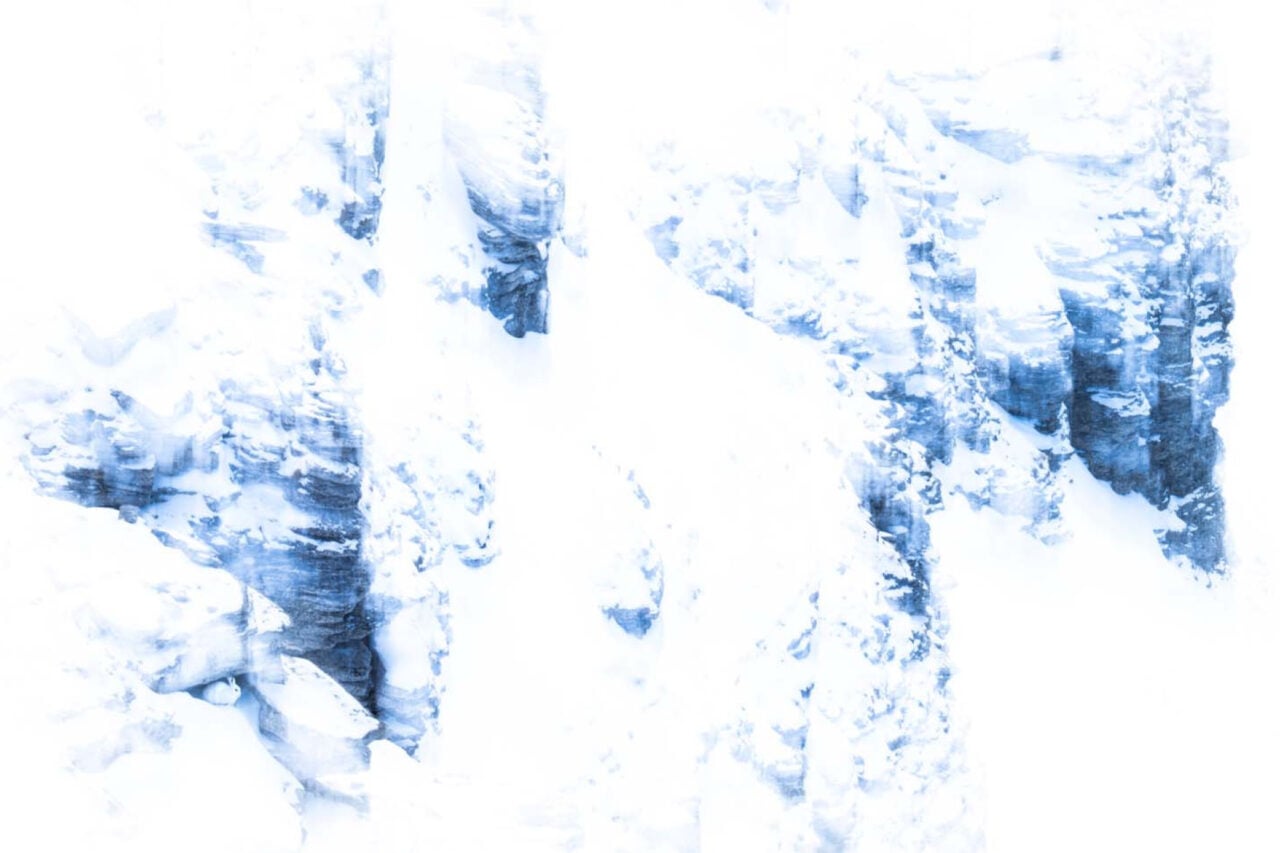 You’ll Never Guess What Animal Is Hiding in This Prize-Winning Photo