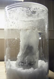 Ice Core Segment Epica
