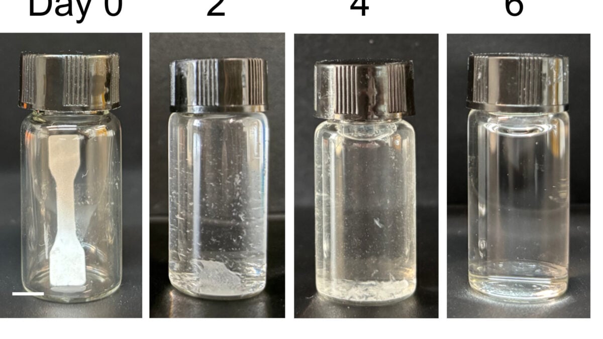 This &lsquo;Living&rsquo; Plastic Comes With a Built-in Kill Switch