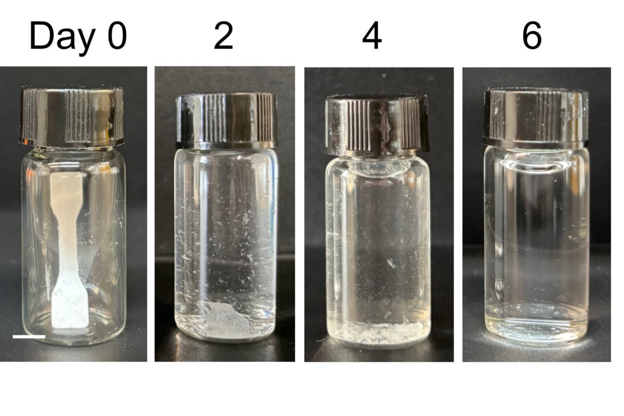 This ‘Living’ Plastic Comes With a Built-in Kill Switch