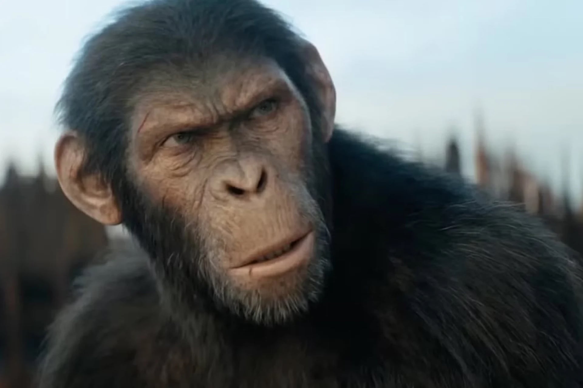 'Kingdom of the Planet of the Apes'