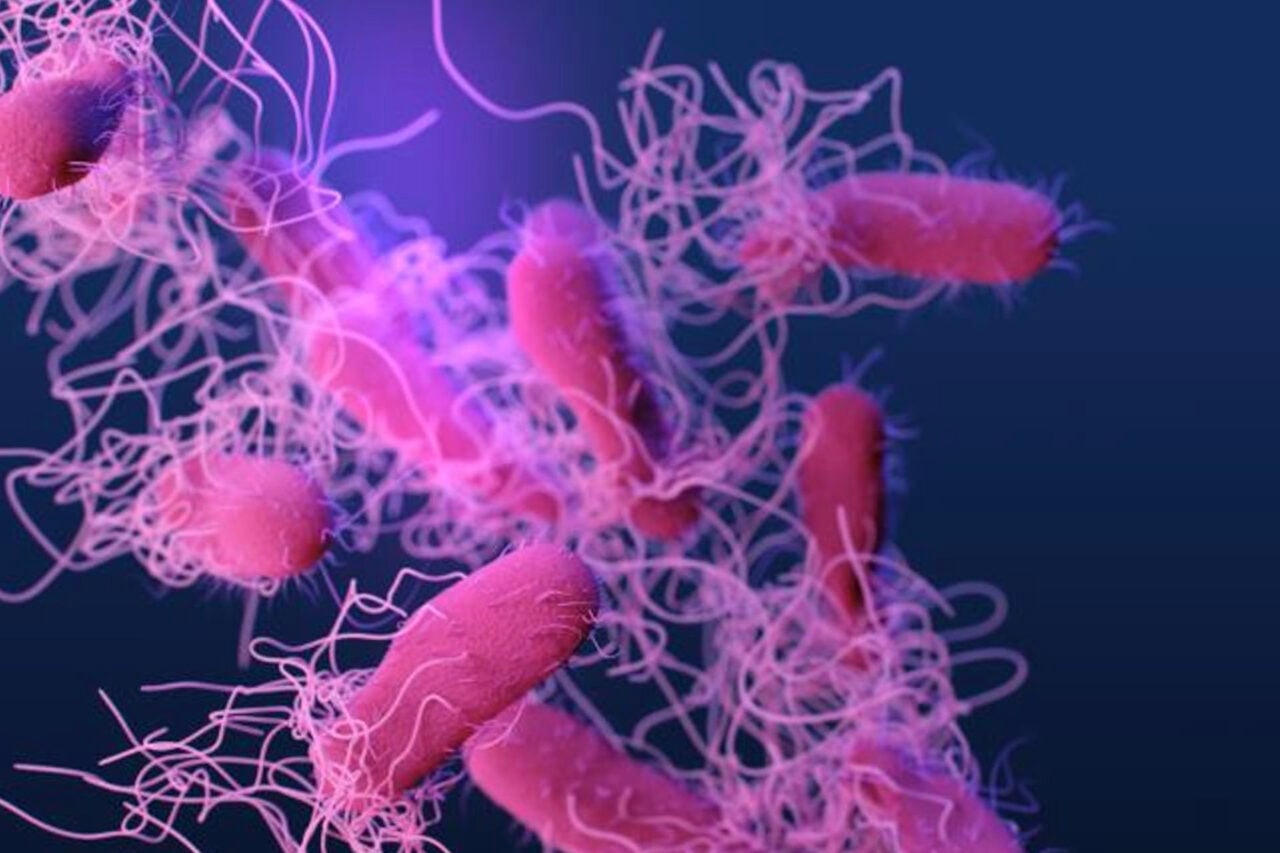 salmonella CDC illustration superbug