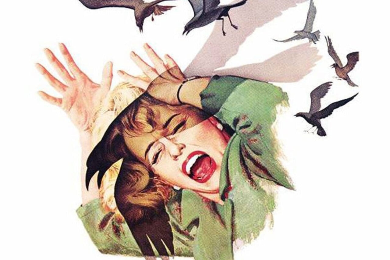 A Remake of ‘The Birds’ Is Flying to Television