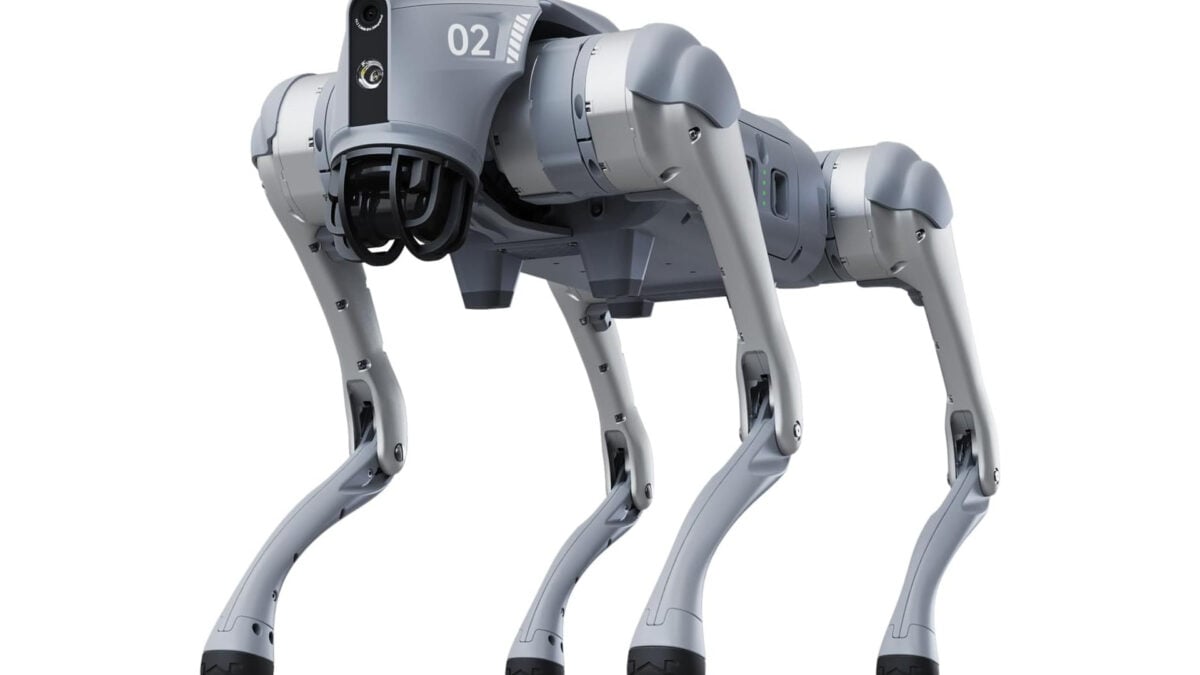 Man Finds Robot Dog Is Bad at Protecting His Chickens, But Might Be Good at Sending Data to China