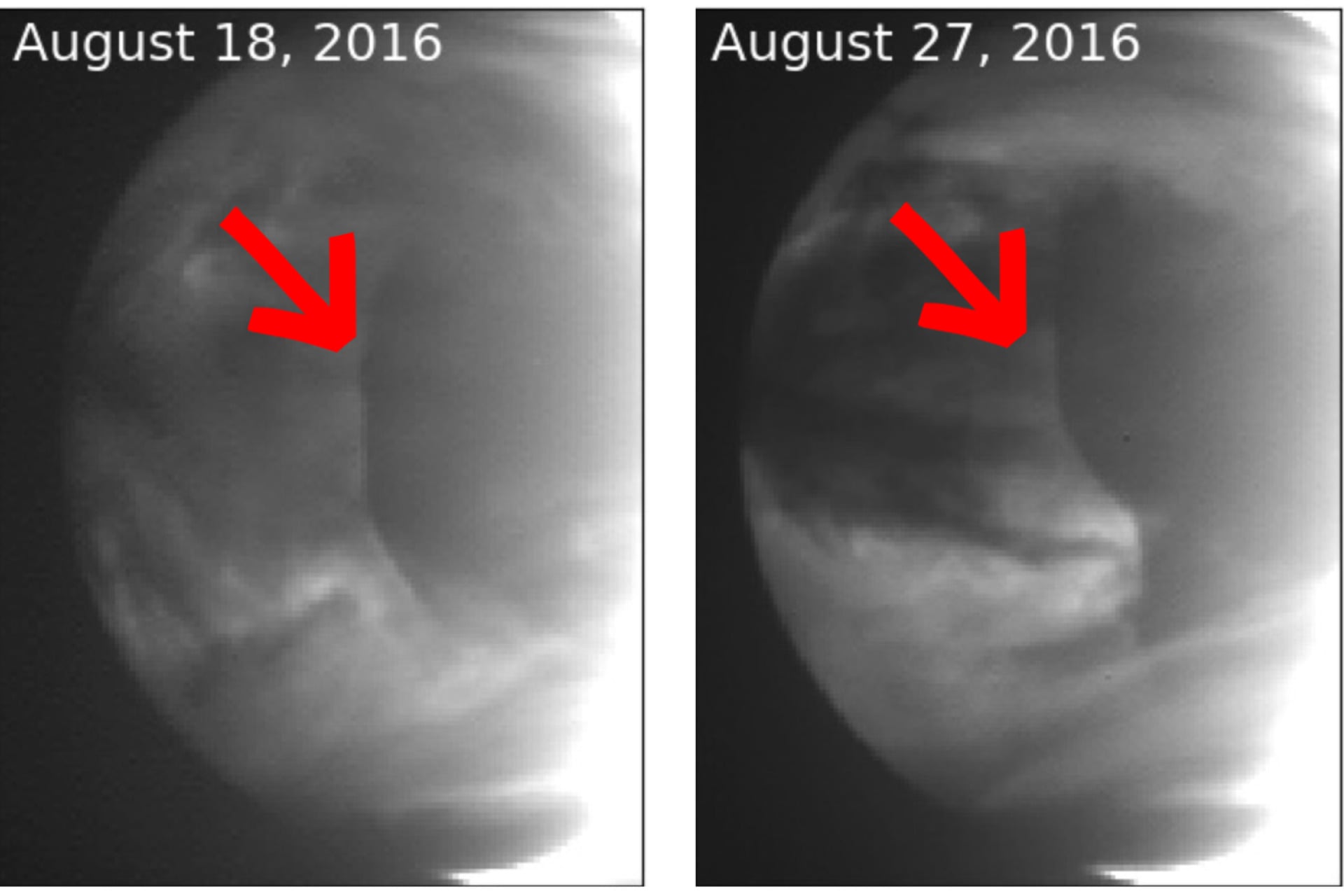 These images taken on Aug. 18 (left) and Aug. 27 (right), 2016, by the near-infrared camera on Japan’s Akatsuki Venus probe, show the clear line of denser (darker) clouds moving across the planet.