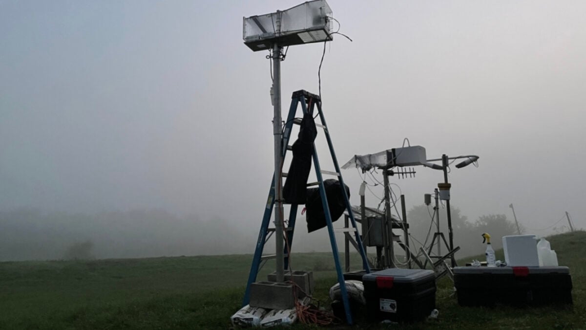Fog Is Teeming With Life—But What It Eats Is the Weird Part