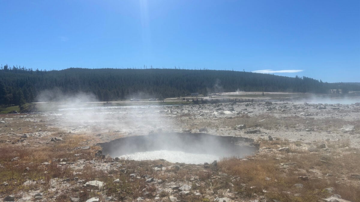 Ledakan Hidrotermal Lubangi Cekungan Biskuit Yellowstone dengan Kawah Uap Baru