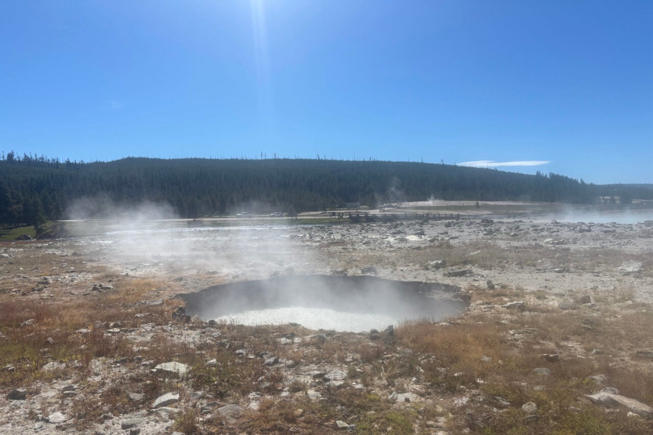 A Hydrothermal Explosion Poked New Steamy Holes in Yellowstone’s Biscuit Basin