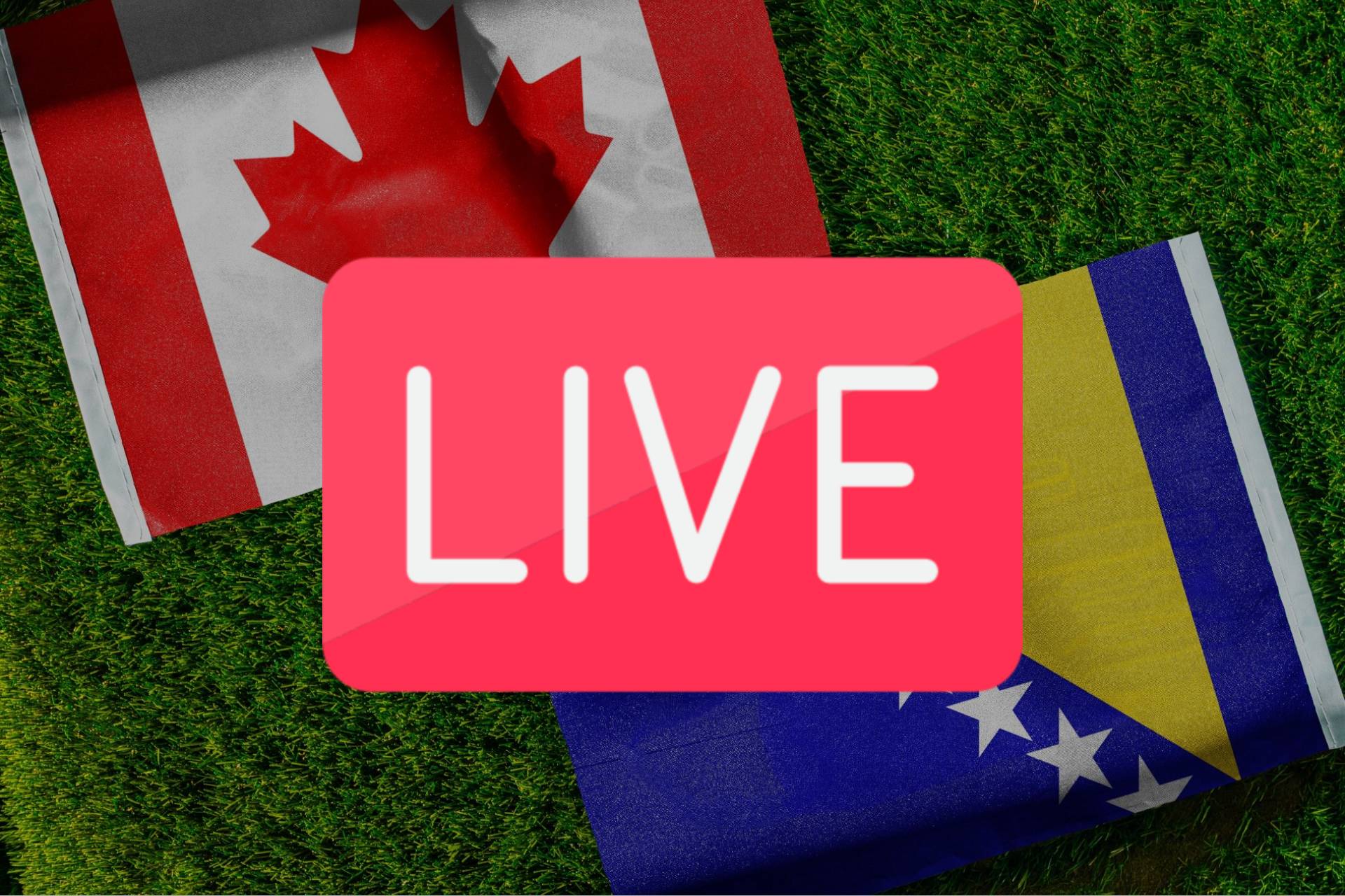 Canada Bosnia (1)