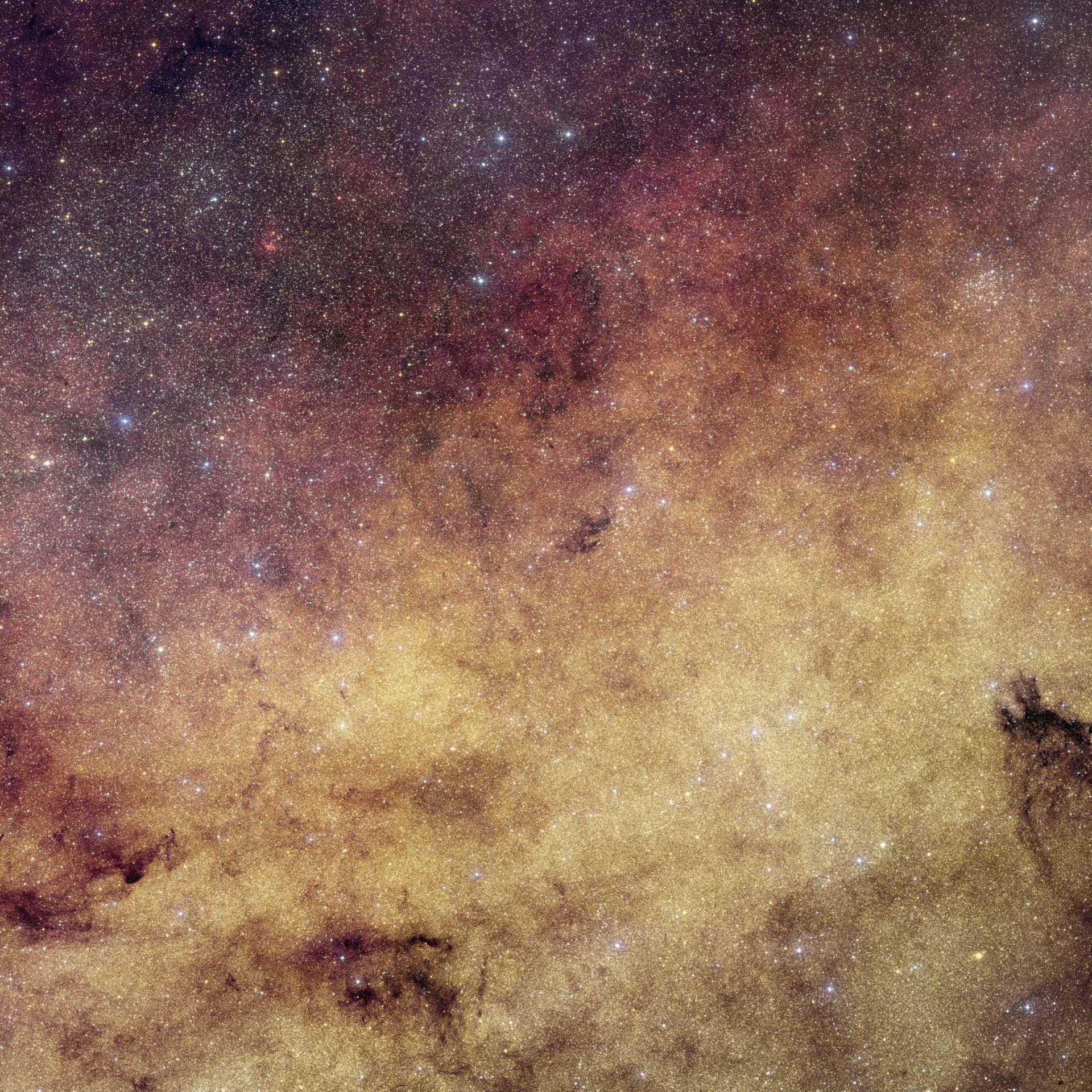 Euclid S View Of Our Galaxy S Bulge (1)
