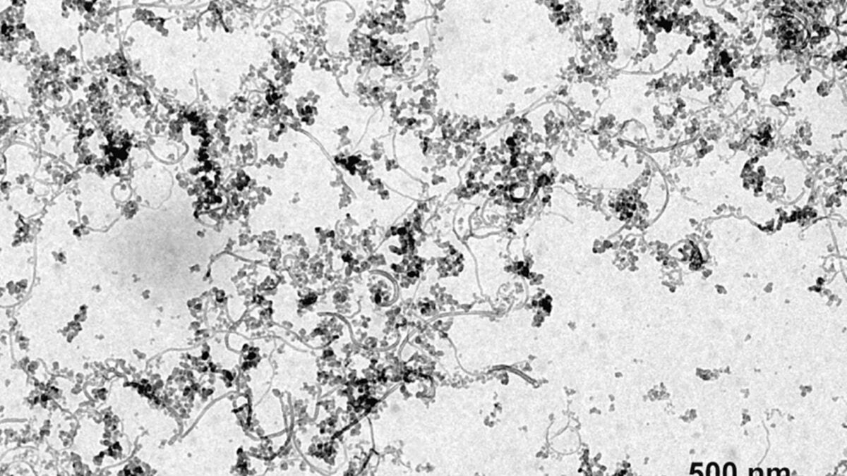 Scientists Made a Car Paint So Black It Looks Like a Hole in Reality