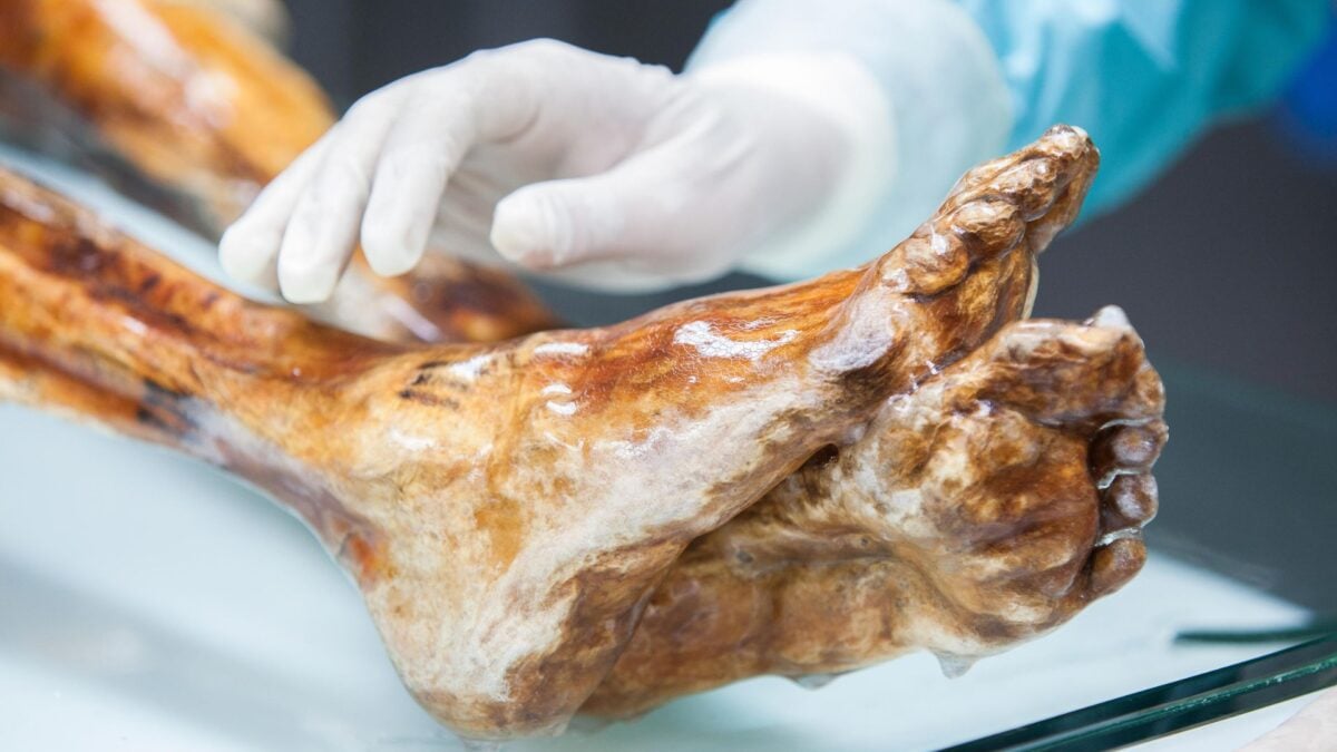 Ötzi the Iceman’s Microbes Still Show Signs of Life After 5,300 Years