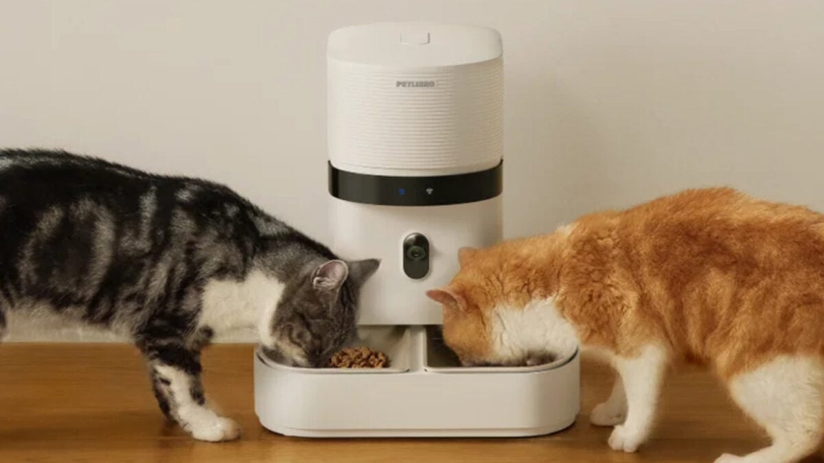 Petlibro Granary 2 Smart Pet Feeder Launches With a Coupon Stack That Cuts the Price Even Further