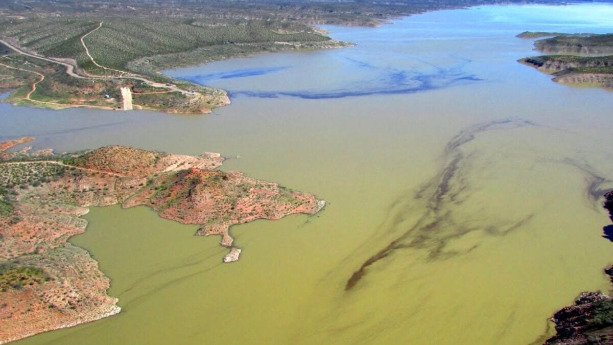 An Arizona Lake Just Lost All Its Fish