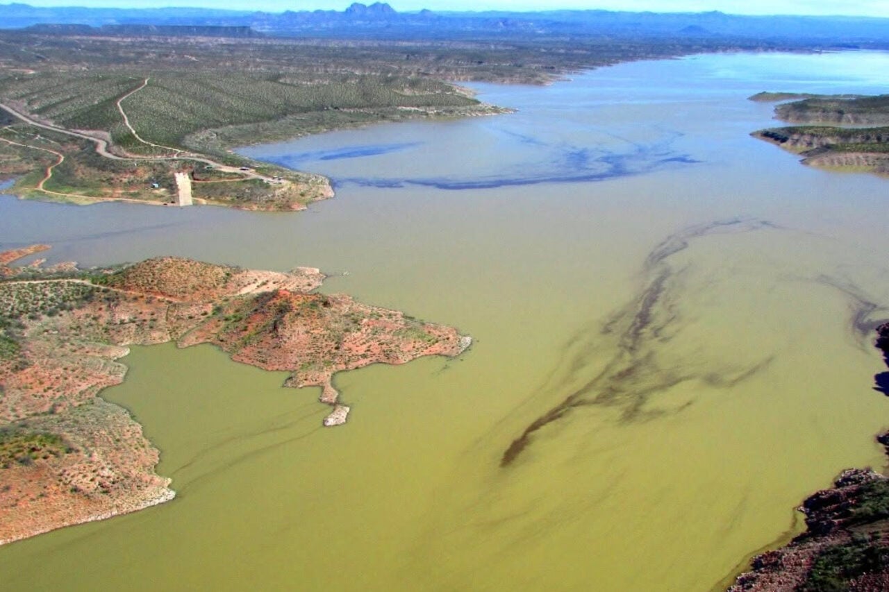 An Arizona Lake Just Lost All Its Fish