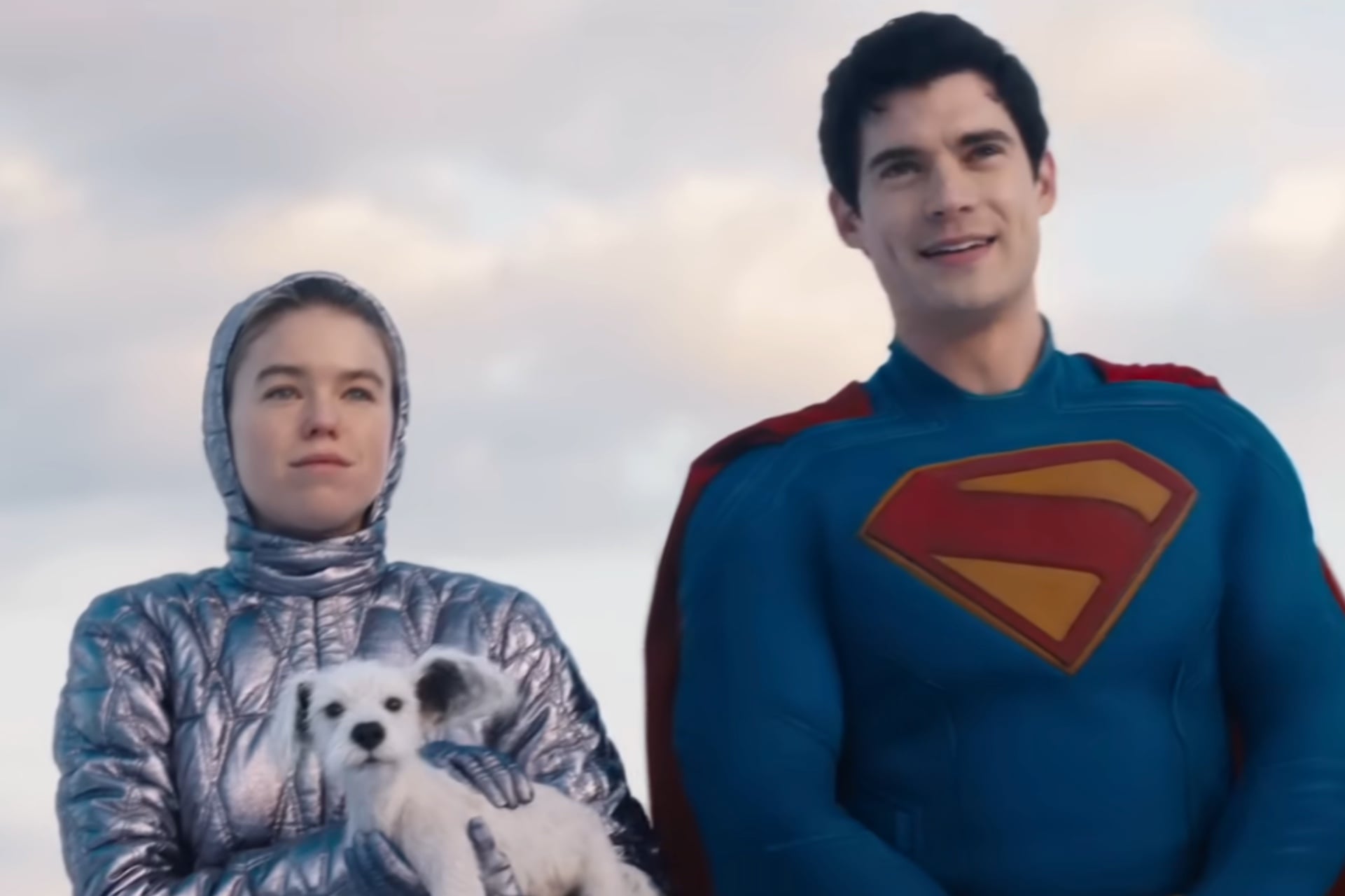 We would die for puppy Krypto.