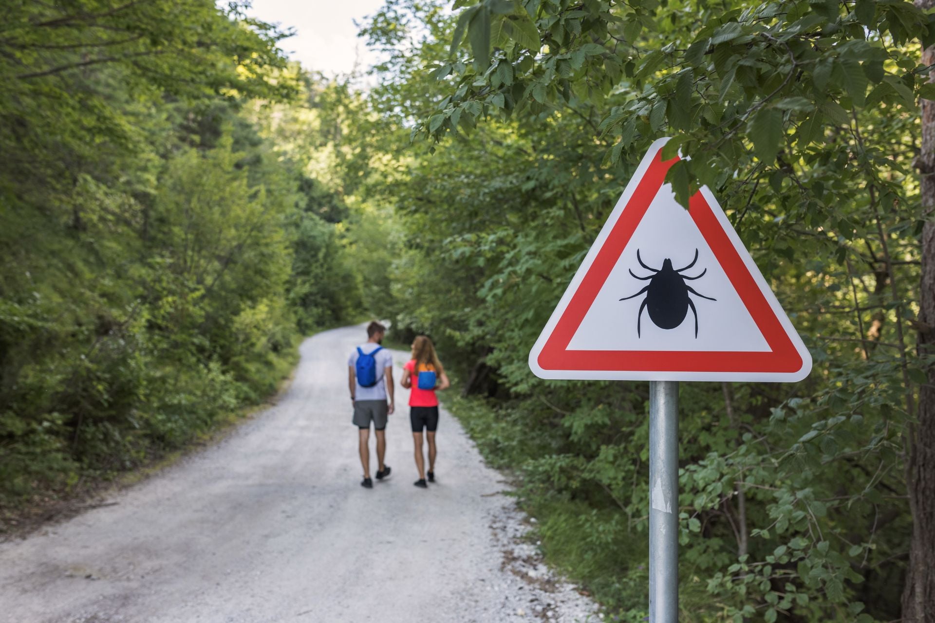 A sign warning people of ticks in the area.