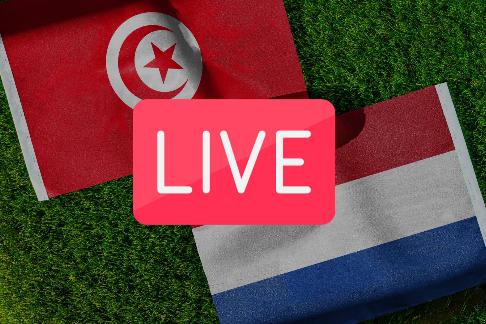Tunisia Vs Netherlands