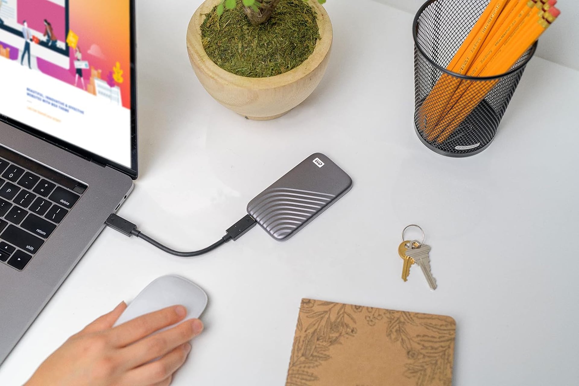 Westerndigital1tb