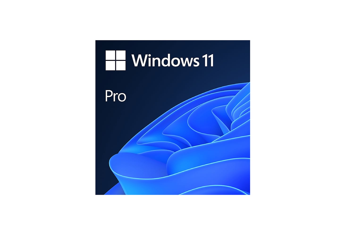 Windows 11 Pro