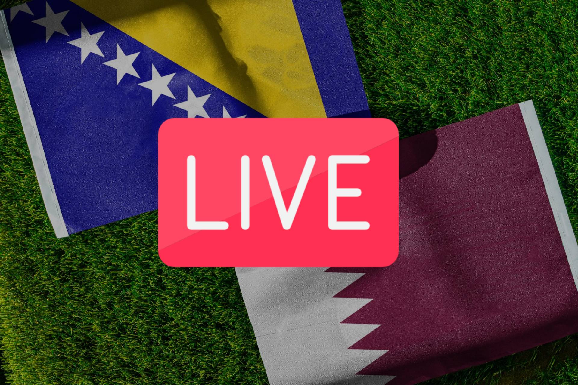 Bosnia Vs Qatar