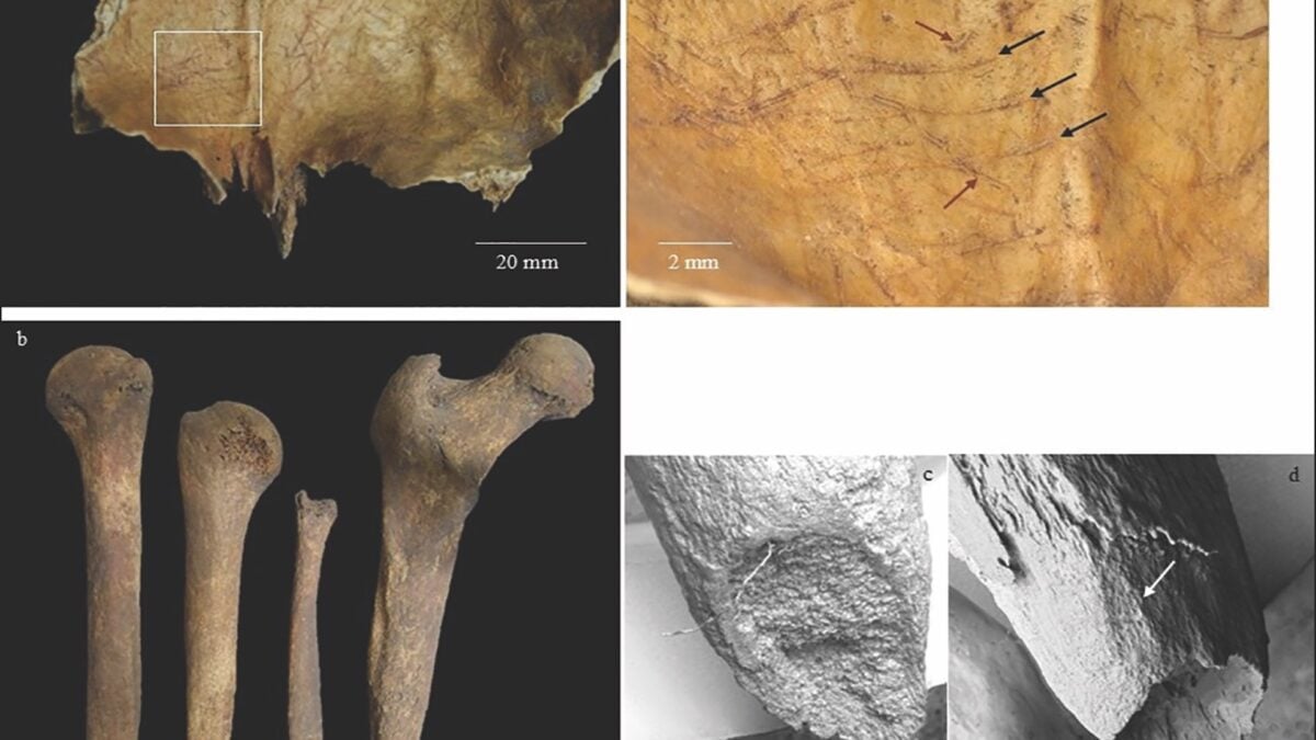 In Iron Age Scotland, People Removed the Brains of the Dead and Sharpened Their Bones