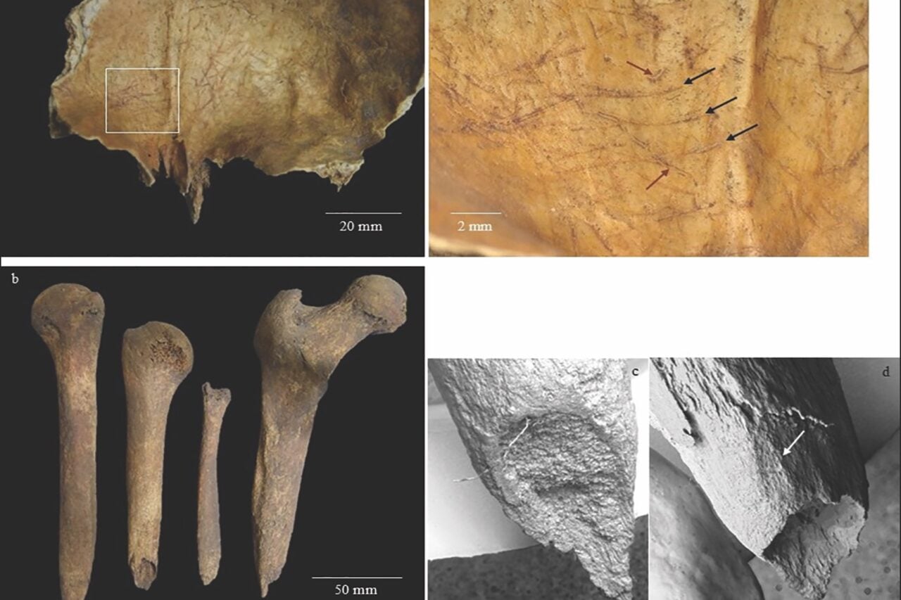 In Iron Age Scotland, People Removed the Brains of the Dead and Sharpened Their Bones