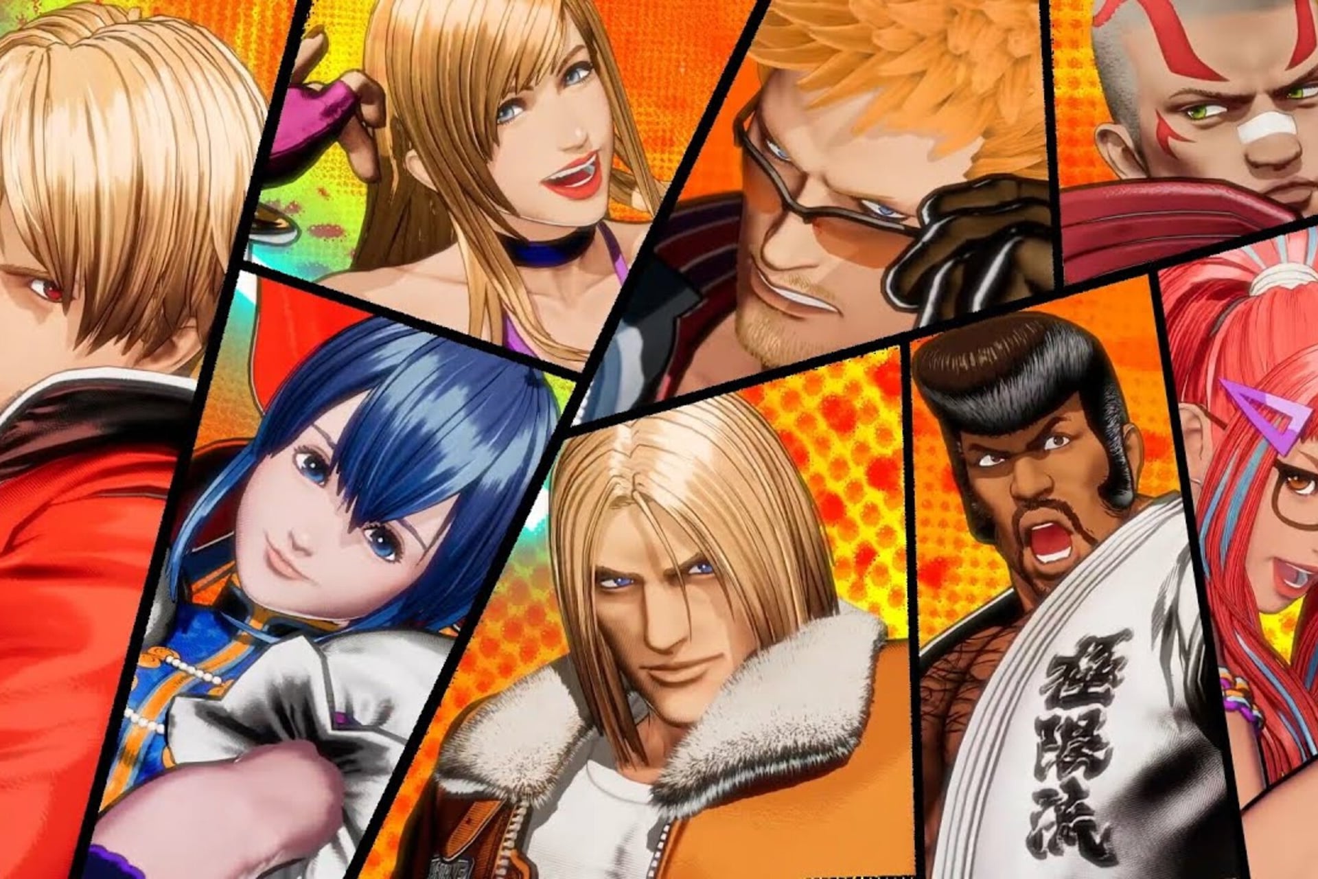 Fatal Fury Hed