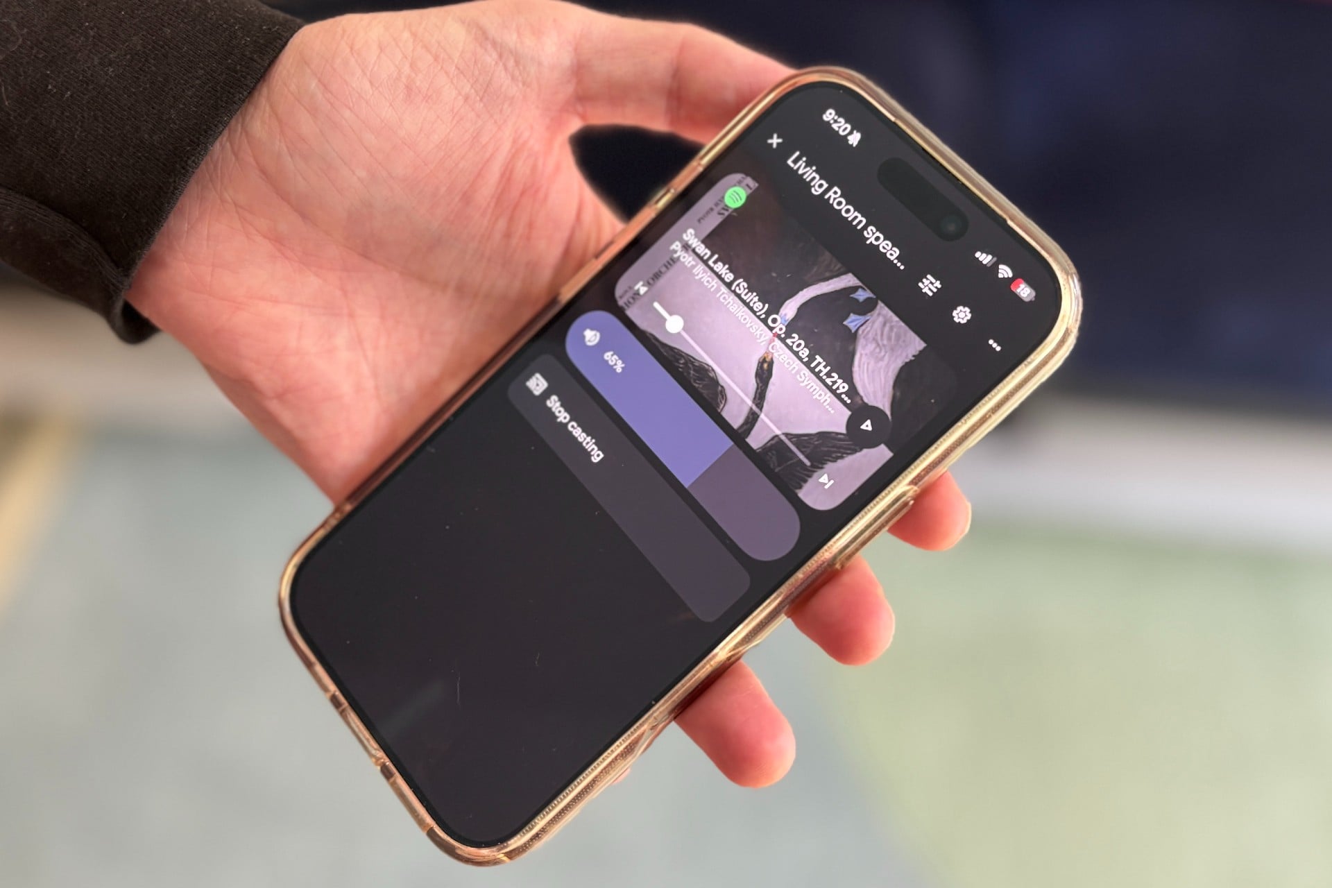Google Home App