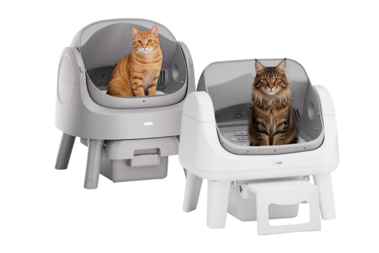 Litter Box
