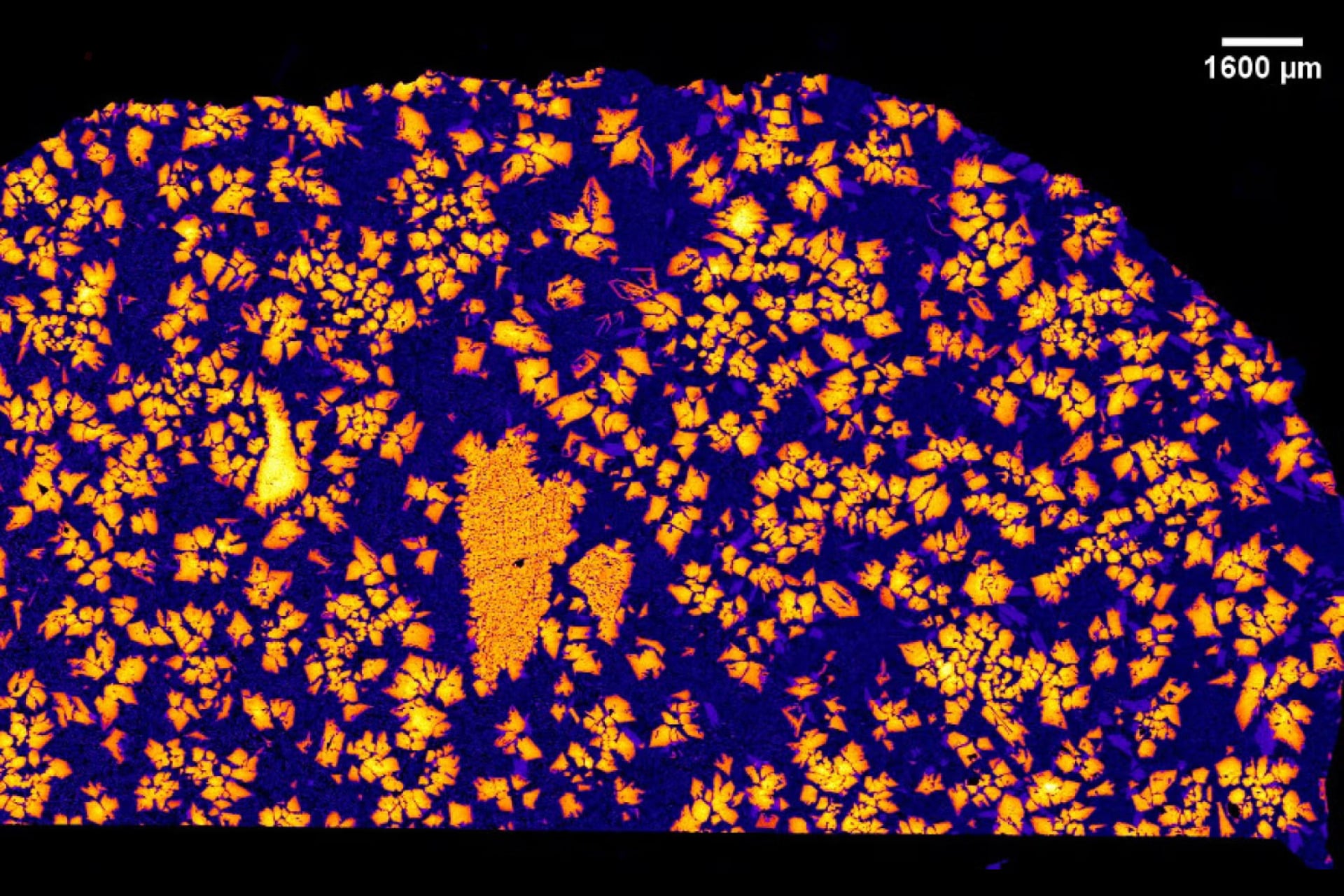An X-ray image of NWA 12774.